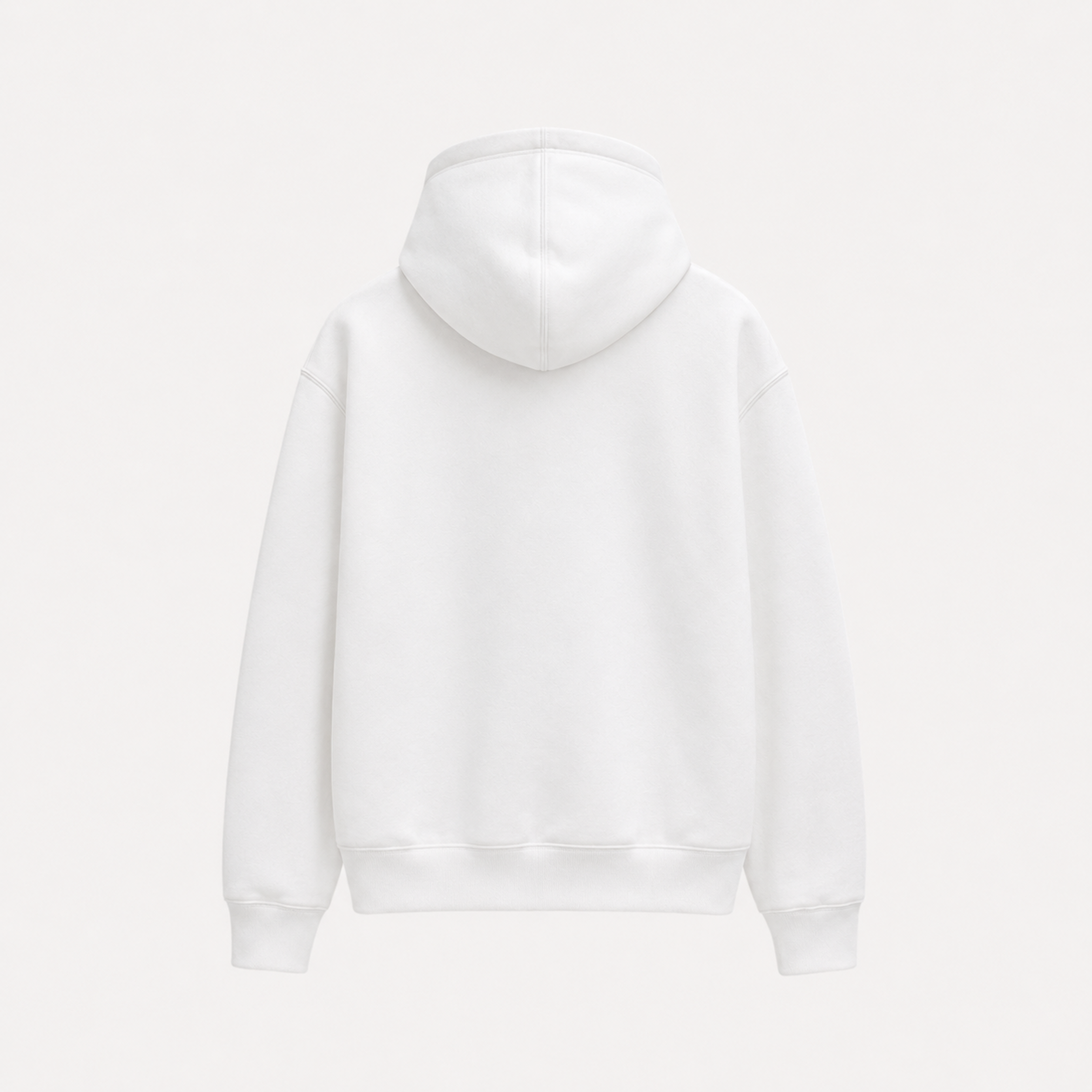 Sweat à capuche RV
